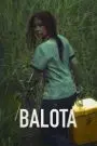 Balota