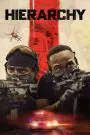 Hierarchy