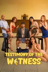 Testimony of the Witness
