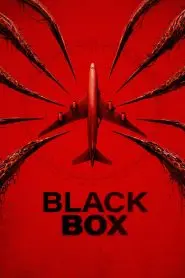 Black Box (Flight 298)